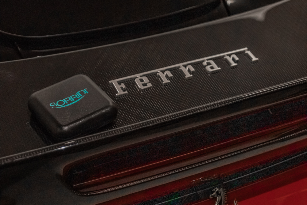 Rapidità del Trattamento